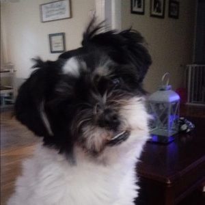 Meet your Posher, Christy